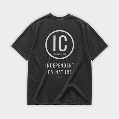 Icon Foundation Tee