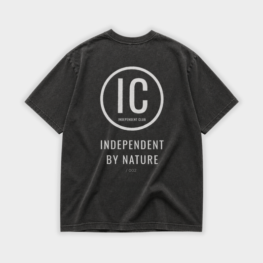 Icon Foundation Tee